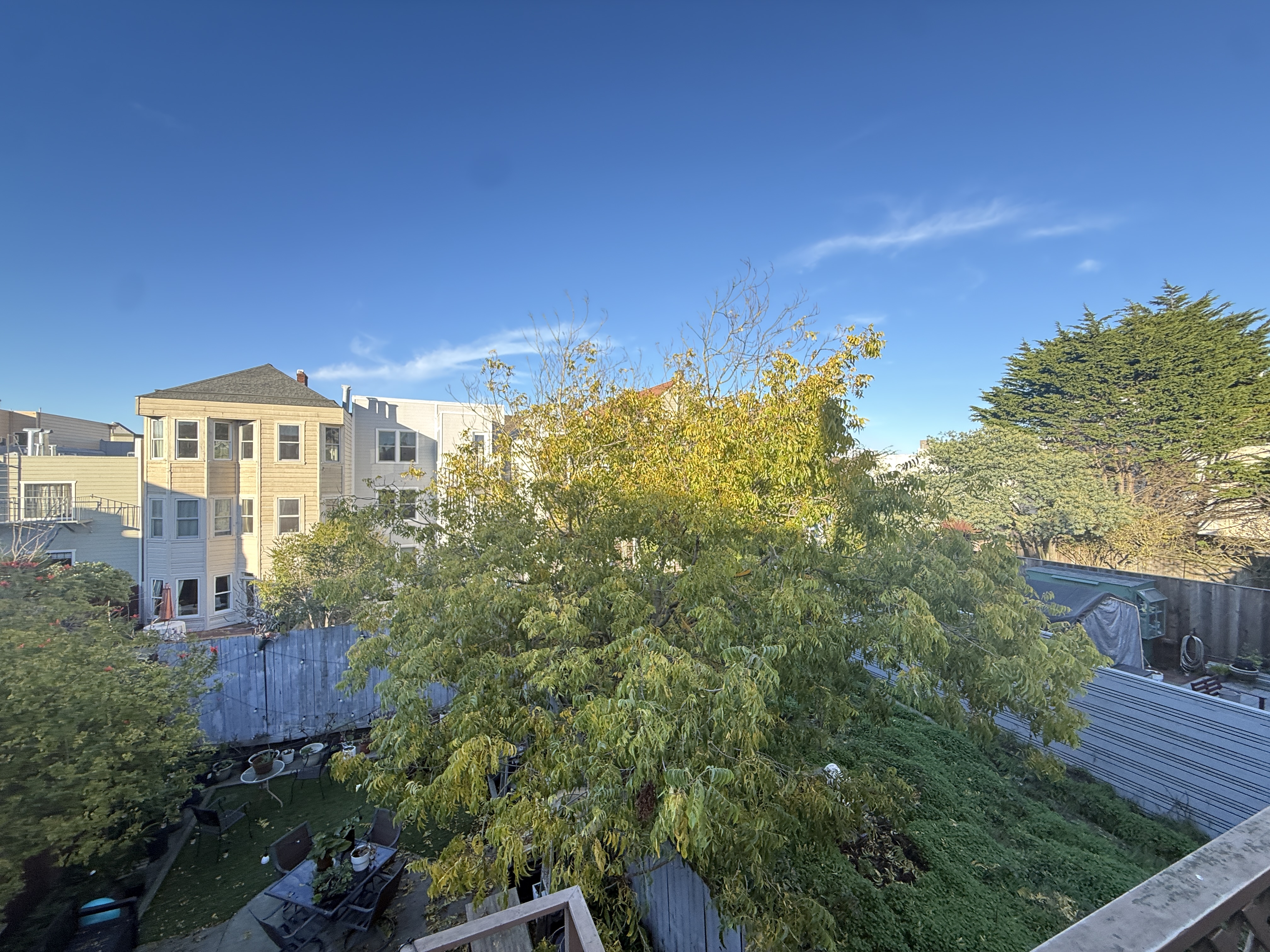 Backyard aerial view with lush trees and gardens